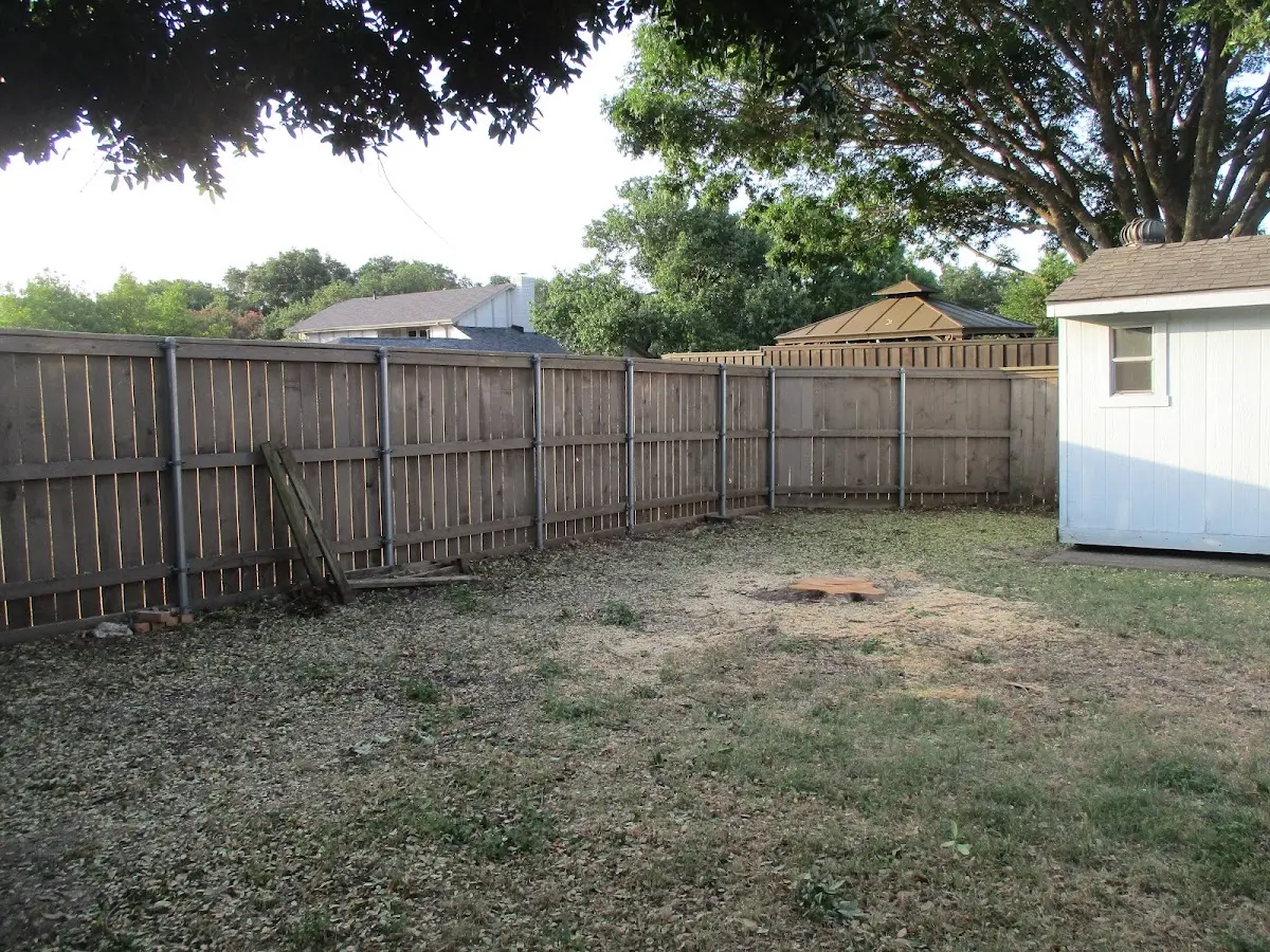 Cleared yard after professional tree removal in Sodus Point